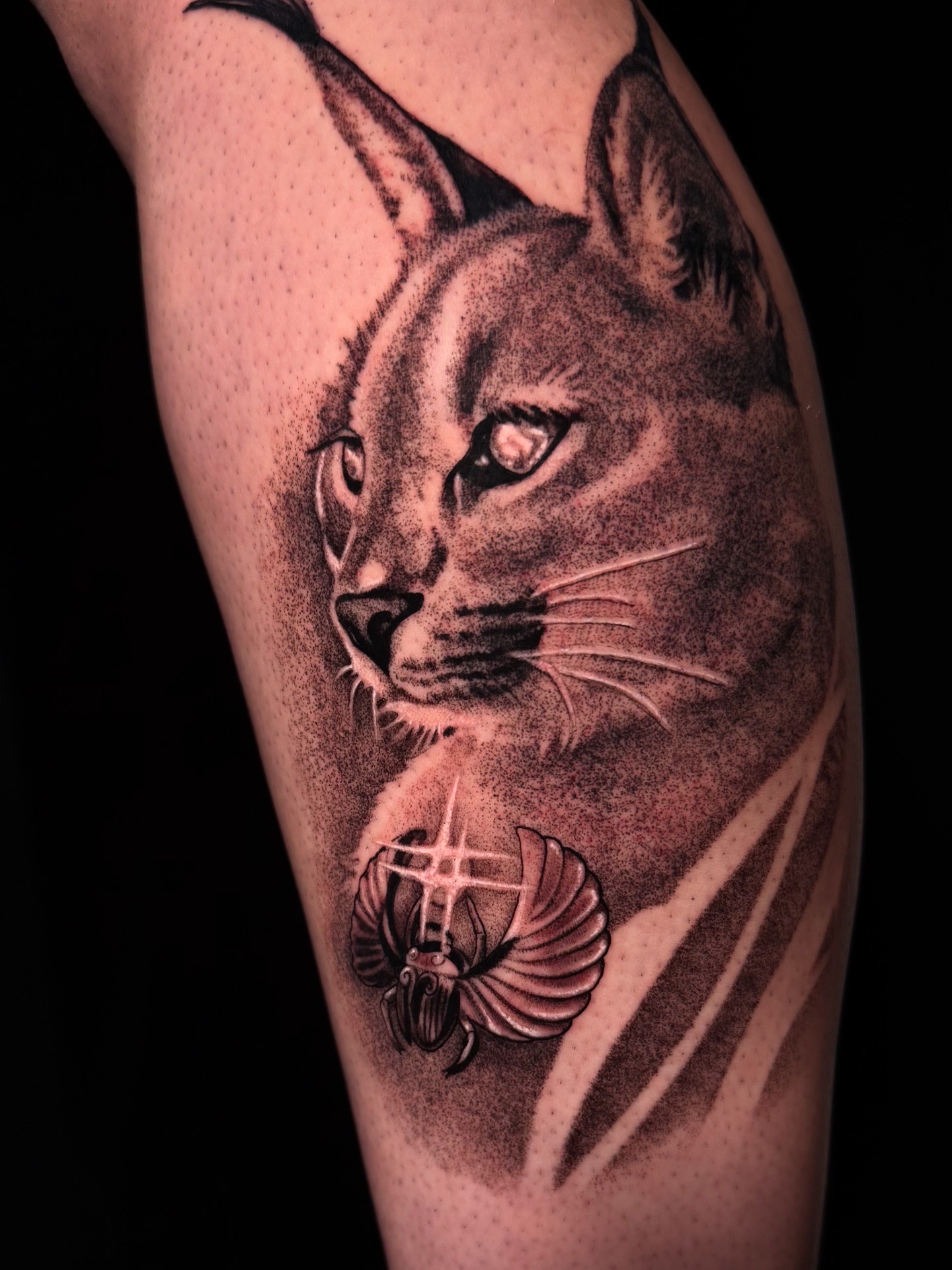 Realistic cat portrait tattoo using stippling pepper shading technique on thigh